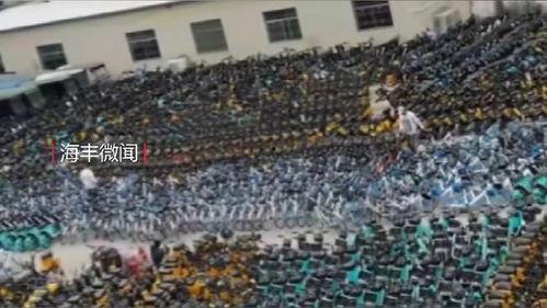 最新海丰爆料,揭秘背后惊人真相  第1张