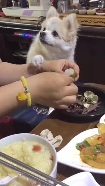 来看我吧在线观看土豆,揭秘“根据来看我吧”幕后故事  第1张