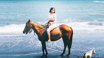 网红骑马爆料视频播放下载,播放下载量惊人！  第1张