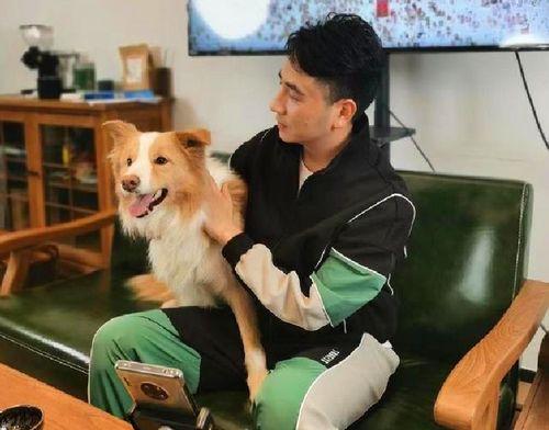 林生斌内部爆料视频,事件背后惊人真相 第1张 林生斌内部爆料视频,事件背后惊人真相 第1张