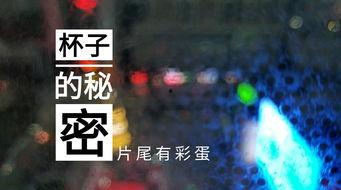 延吉饭店爆料视频播放网站,网络热议背后的真相 第3张 延吉饭店爆料视频播放网站,网络热议背后的真相 第3张